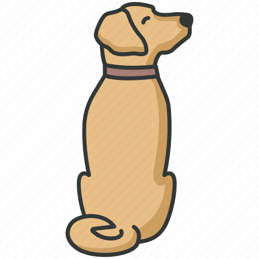 Dog, pet, animal, puppy, domestic icon - Download on Iconfinder