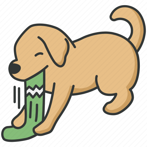 Puppy, pet, cute, dog, baby dog, socks icon - Download on Iconfinder