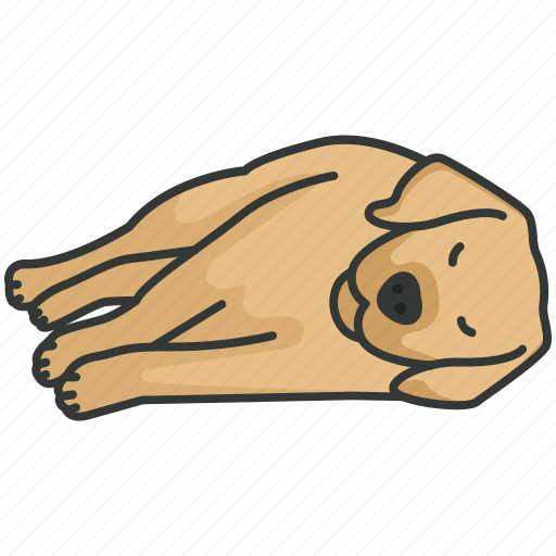 Sleep, laying, sick, dog, pet, sleeping, puppy icon - Download on Iconfinder