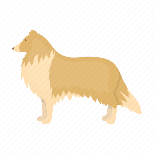 Breed, collie, colly, dog, mammal, pet icon - Download on Iconfinder