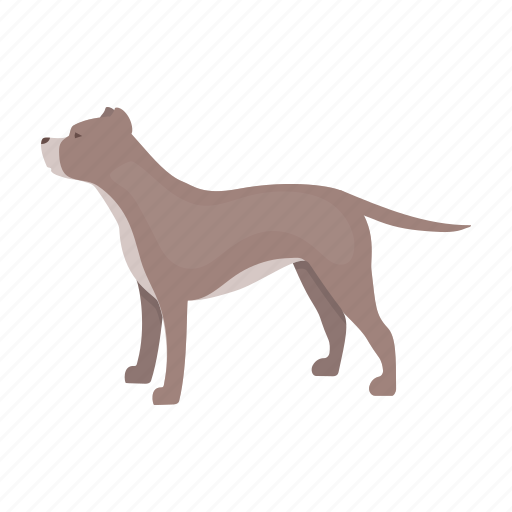 Breed, dog, mammal, pet, pit bull icon - Download on Iconfinder