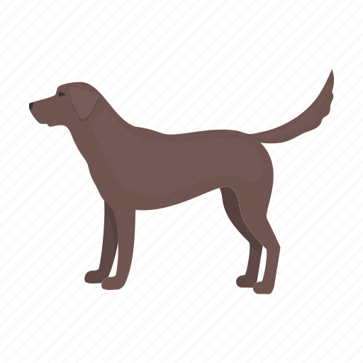 Breed, dog, labrador, mammal, pet icon - Download on Iconfinder