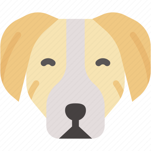 Pointer, animal, kingdom, breed, pets, dog icon - Download on Iconfinder