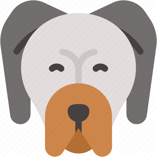 Saint, bernard, pets, breed, animal, mammal, dog icon - Download on Iconfinder