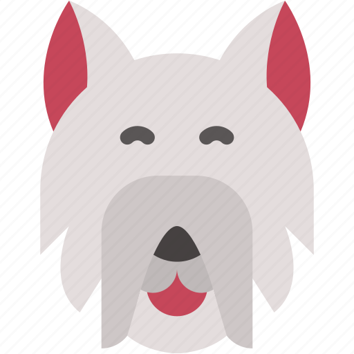 West, highland, dog, animal, kingdom, mammal, pets icon - Download on Iconfinder