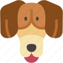 dachshund, breed, animal, kingdom, pets, animals, dog