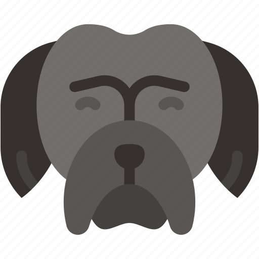Newfoundland, mammal, pet, animals, dog, animal, kingdom icon - Download on Iconfinder