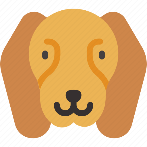 Beagle, animal, kingdom, dog, mammal, nose, pets icon - Download on Iconfinder