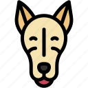 greyhound, mammal, animal, pet, puppy