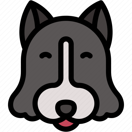Border, collie, mammal, pet, animal, kingdom, dog icon - Download on Iconfinder
