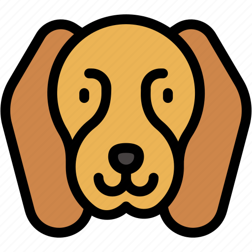 Beagle, animal, kingdom, dog, mammal, nose, pets icon - Download on Iconfinder