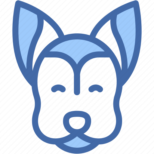 Chihuahua, animal, kingdom, mammal, dog, breed, animals icon - Download on Iconfinder