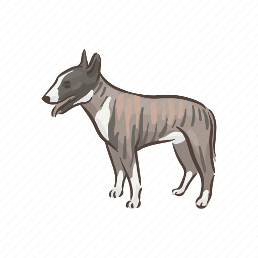 Dog, breeds, bull terrier, pet, animal, breed, puppy icon - Download on Iconfinder