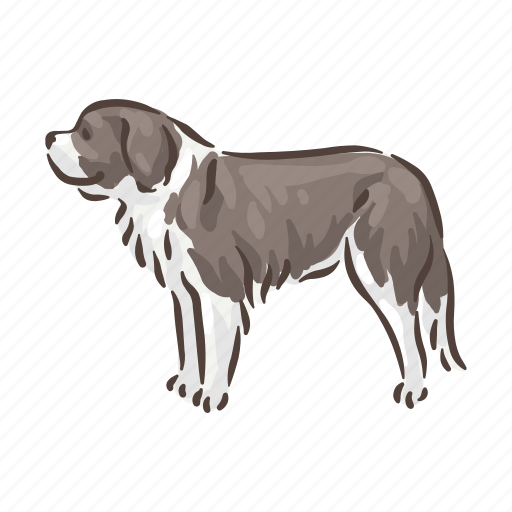 Dog, breeds, bernhardiener, pet, animal, breed, puppy icon - Download on Iconfinder