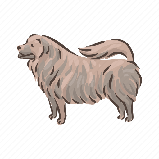 Dog, breeds, chow-chow, pet, animal, breed, puppy icon - Download on Iconfinder