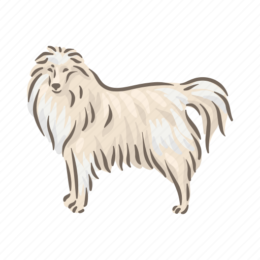 Dog, breeds, ￼sheltie, pet, animal, breed, puppy icon - Download on Iconfinder