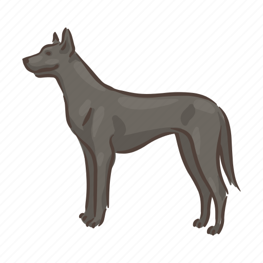 Dog, breeds, deutsche dogge, pet, animal, breed, puppy icon - Download on Iconfinder