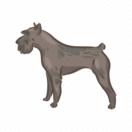 Dog, breeds, riesenschnauzer, pet, animal, breed, puppy icon - Download on Iconfinder