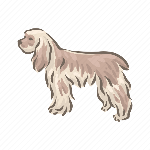 Dog, breeds, cocker-spaniel, pet, animal, breed, puppy icon - Download on Iconfinder