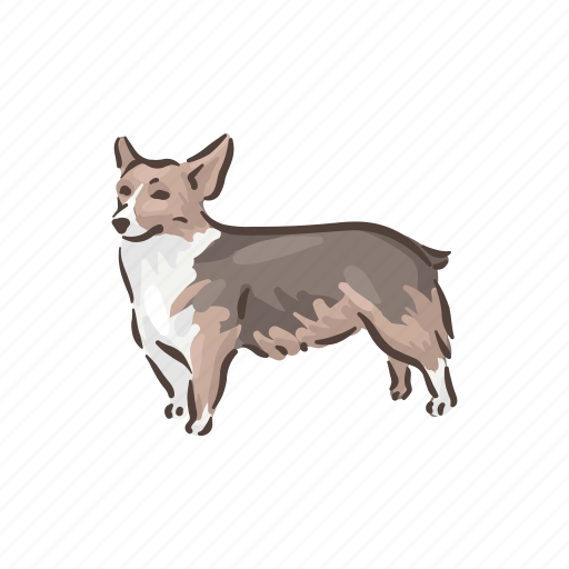 Dog, breeds, welsh corgi pembroke, corgi, pet, animal, breed icon - Download on Iconfinder