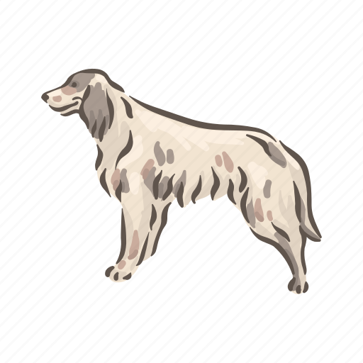 Dog, breeds, english setter icon - Download on Iconfinder