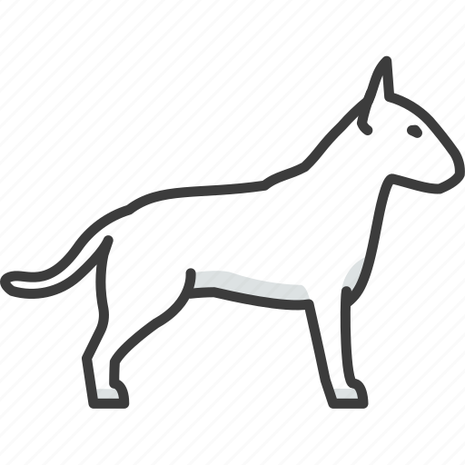 Bullterrier, dog, fighting icon - Download on Iconfinder