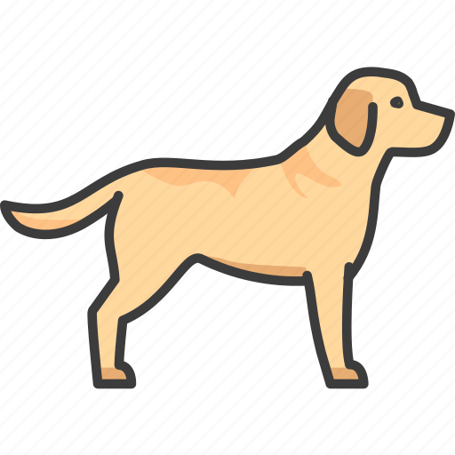 Labrador, retriever, dog, pet icon - Download on Iconfinder