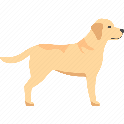 Labrador, pet, breed icon - Download on Iconfinder