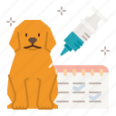 dog, care, essential, vaccinations, dap, rabies, influenza