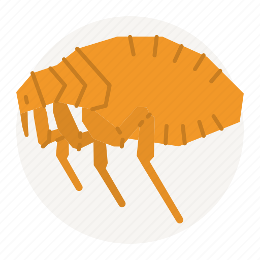 Dog, care, fleas, parasites, siphonaptera, bugs, insects icon - Download on Iconfinder