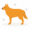 dog, care, kennel, wolf, pet, stand, standing