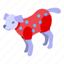 dog, sweater, isometric
