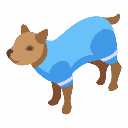 Accessory, dog, cloth, isometric icon - Download on Iconfinder