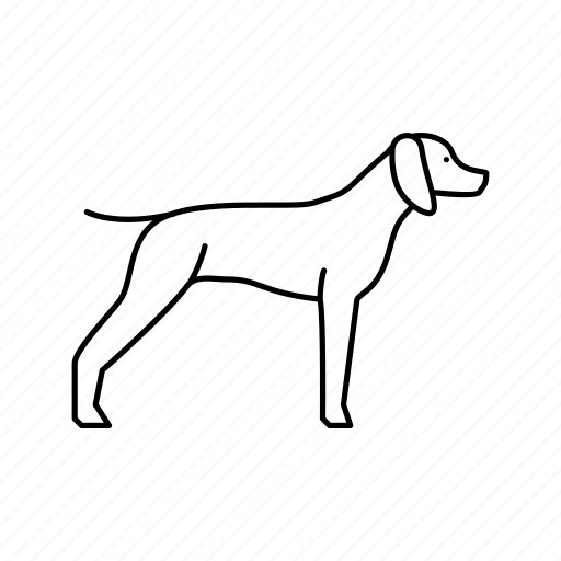 German, shrothaired, pointer, dog, domestic, animal, accessories icon - Download on Iconfinder