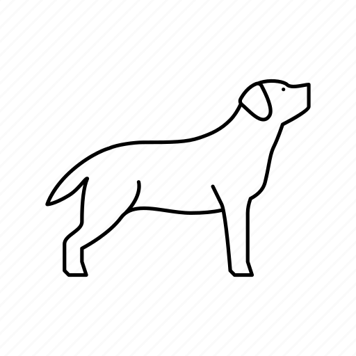Labrador, retriever, dog, domestic, animal, accessories, yorkshire icon - Download on Iconfinder