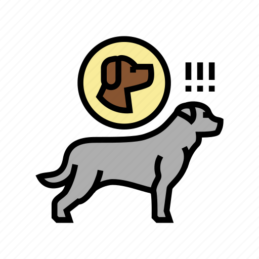 Dog, chasing, animal, domestic, accessories, yorkshire icon - Download on Iconfinder