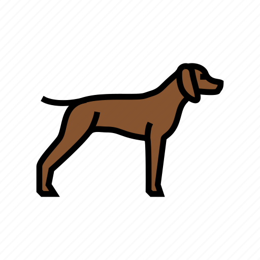 German, shrothaired, pointer, dog, domestic, animal icon - Download on Iconfinder