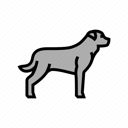 Rottweiler, dog, domestic, animal, accessories, yorkshire icon - Download on Iconfinder