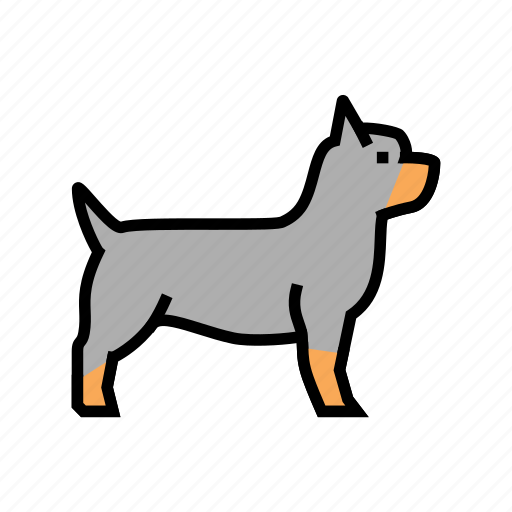 Yorkshire, terrier, dog, domestic, animal, accessories icon - Download on Iconfinder