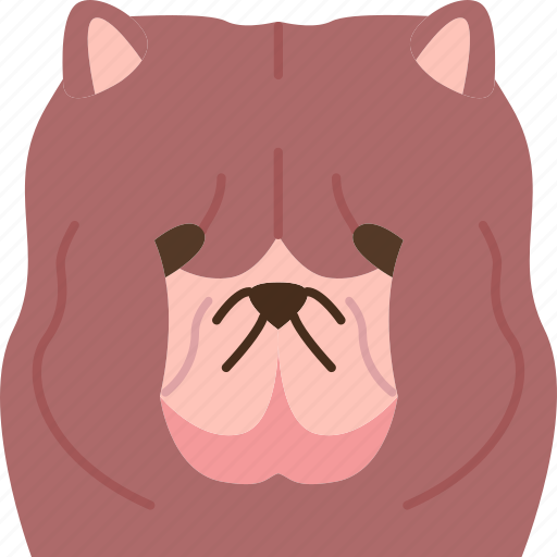 Chow, chinese, breed, dog, canine icon - Download on Iconfinder