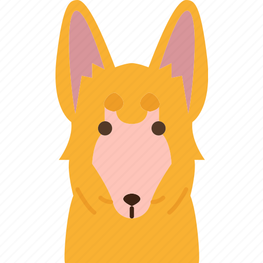 Corgi, cute, dog, domestic, pet icon - Download on Iconfinder