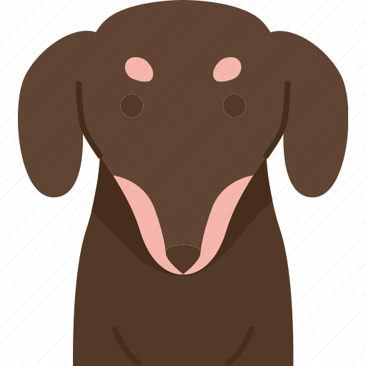 Dachshund, dog, purebred, pet, adorable icon - Download on Iconfinder