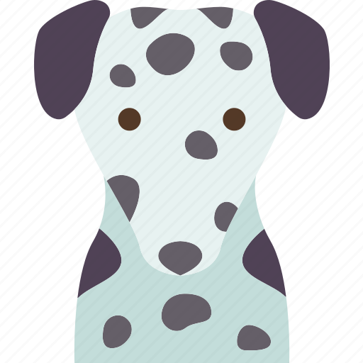 Dalmatian, dog, hound, canine, pet icon - Download on Iconfinder