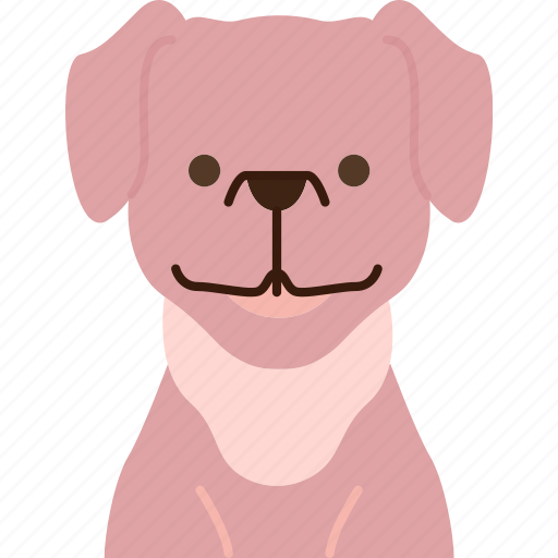 Labrador, retriever, canine, purebred, pet icon - Download on Iconfinder