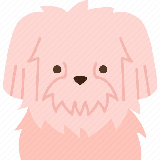 Maltese, puppy, dog, adorable, pet icon - Download on Iconfinder