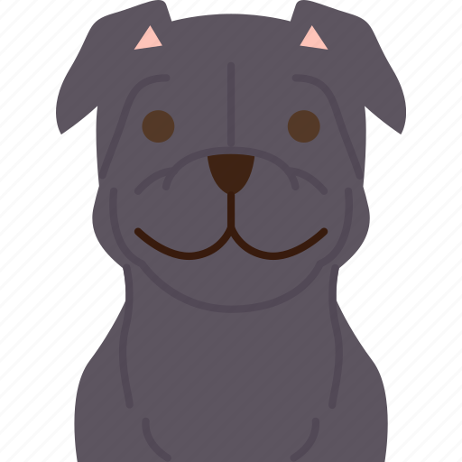 Pitbull, hound, canine, pet, purebred icon - Download on Iconfinder