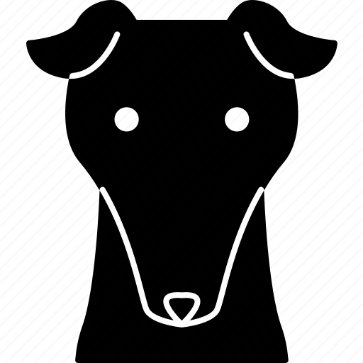 Greyhound, dog, canine, purebred, pet icon - Download on Iconfinder