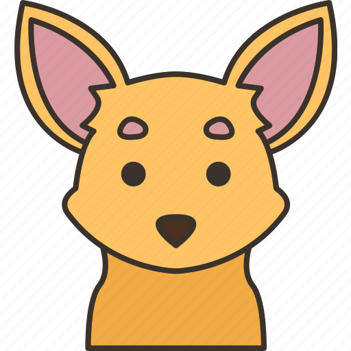 Chihuahua, dog, pet, pedigree, cute icon - Download on Iconfinder