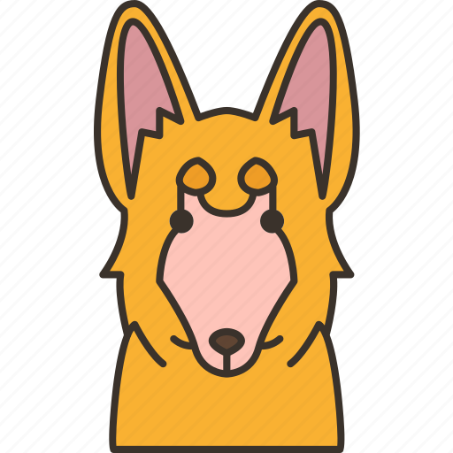 Corgi, cute, dog, domestic, pet icon - Download on Iconfinder