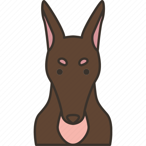 Doberman, canine, dog, hound, purebred icon - Download on Iconfinder